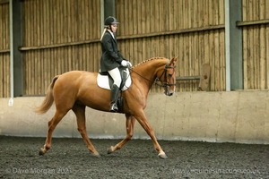 Isis Dressage Crown Farm Show 29th April 2012